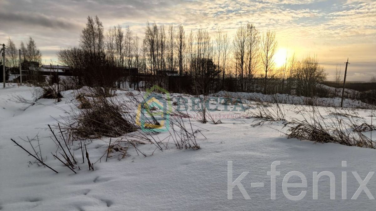 участок 25 сот